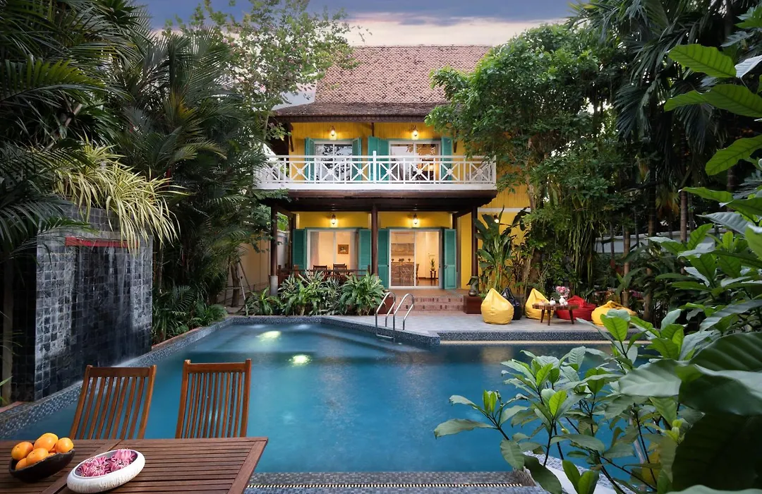 The Elephant-1